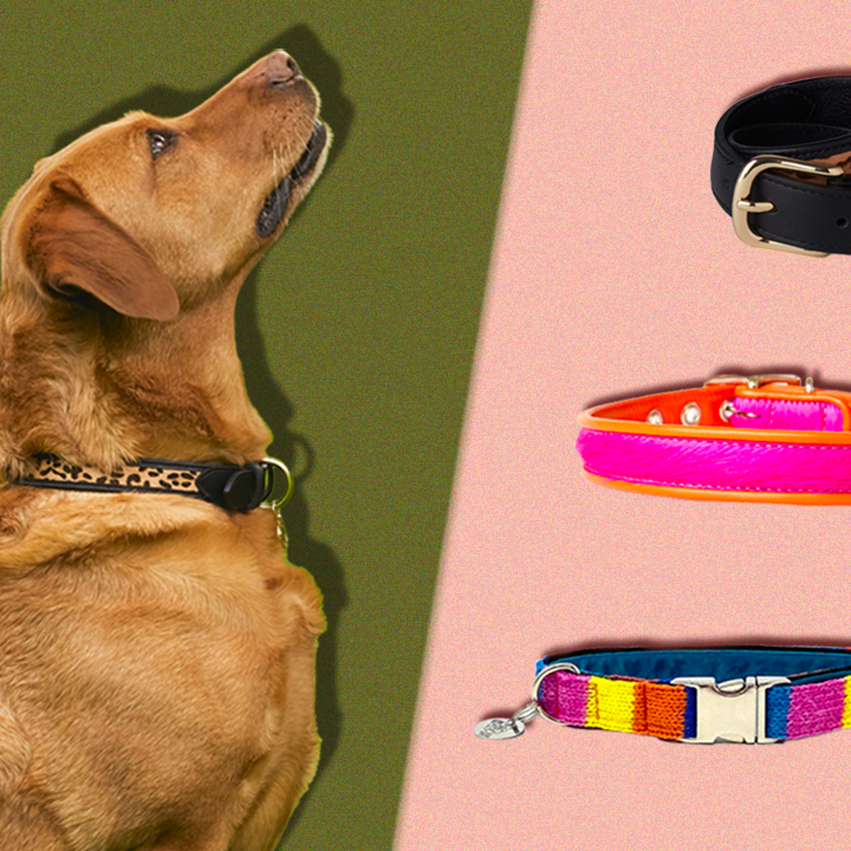 Best dog top collar for puppy
